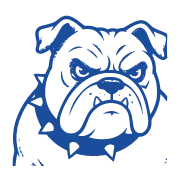 Blue icon 180px