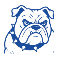 Blue icon 192px
