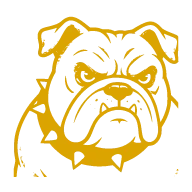 Gold icon 192px