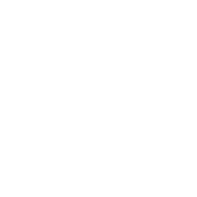 White icon 180px