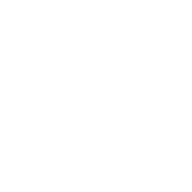 White icon 192px